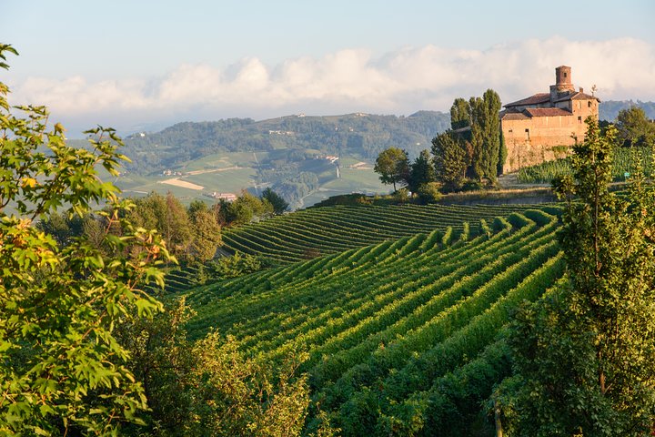 Tour Privado: Degustação de Vinhos Barolo na área de Langhe a partir de Turim