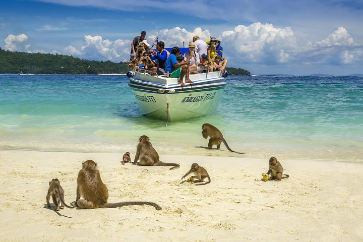 Tour in catamarano premium per le isole Phi Phi e Maya Bay da Phuket
