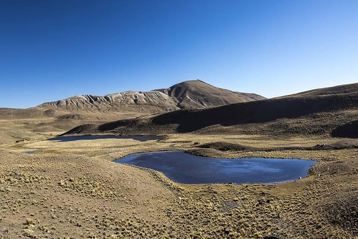 CONDORIRI Bjerg 5650m. 2 DAGE 1 NAT. TREKKING. Engelsk guide. Fælles tur