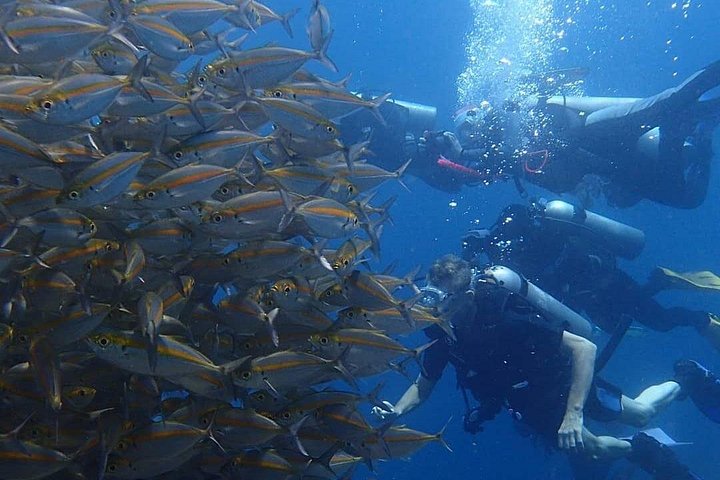 Buceo en el naufragio del USS Liberty de Tulamben Bali