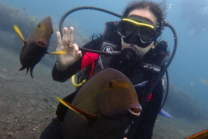 Buceo en el naufragio del USS Liberty de Tulamben Bali