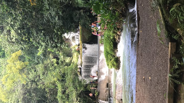 Tour privado de aventura de día completo a YS Falls con recogida
