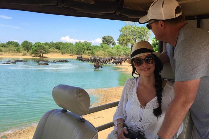 Udawalawe Safari Day Trip with Return Transport - All Inclusive