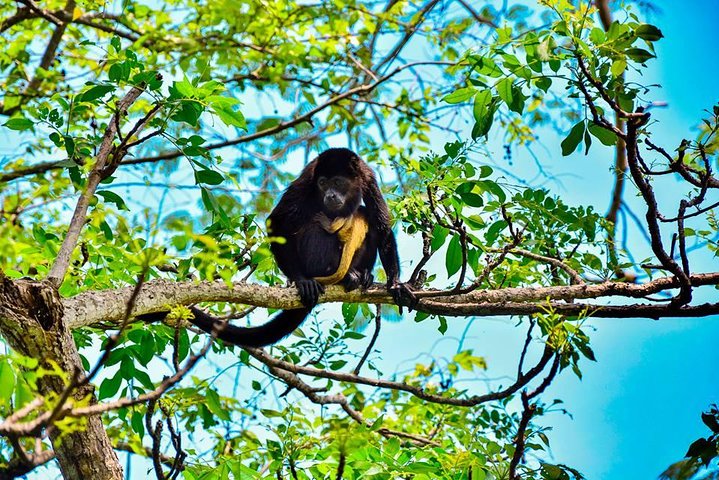 ATV-Zipline-Tour ab Tamarindo oder Flamingo