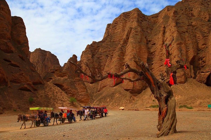 Excursão privada de um dia em Lanzhou à Floresta de Pedra do Rio Amarelo