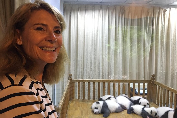 Visite privée d'une demi-journée du centre d'élevage de pandas de Chengdu avec bénévolat en option