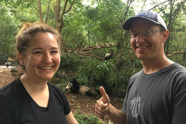 Visite privée d'une demi-journée du centre d'élevage de pandas de Chengdu avec bénévolat en option
