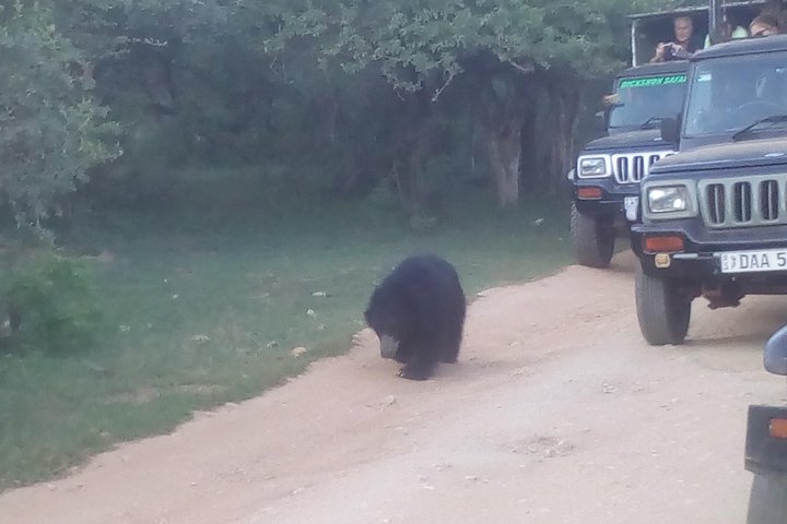 Multi days private round tour in Srilanka