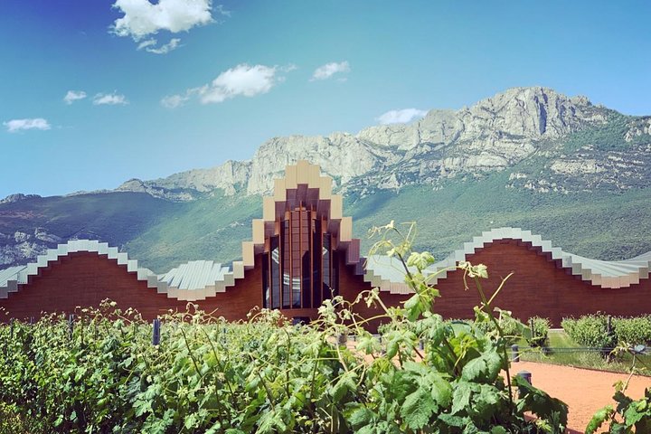 Tour architettonico del vino della Rioja: Marqués de Riscal & Ysios (Bilbao)