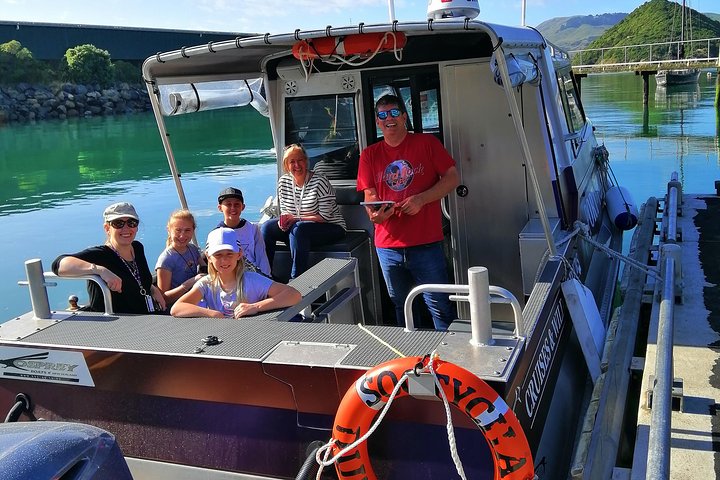 Cruzeiro de vida selvagem em Dunedin - Albatroz, focas e porto
