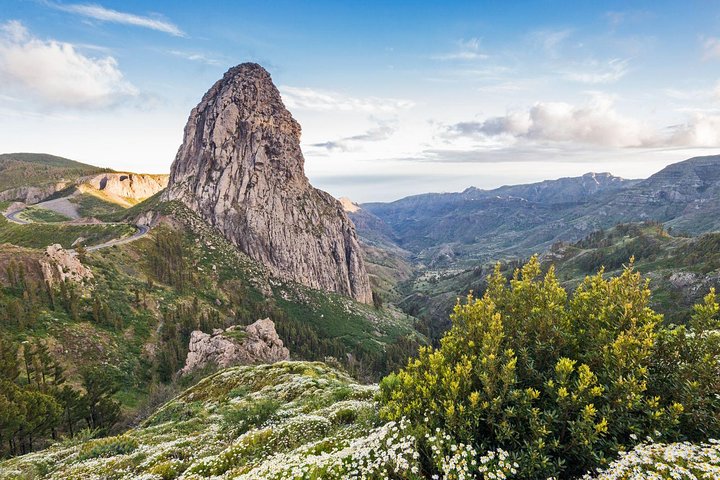 テネリフェ島発ラ・ゴメラ島日帰りツアー:ランチとワイン付き