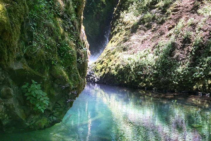 Excursión de medio día a las cataratas Multnomah y la garganta del río Columbia