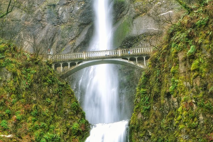 Excursión de medio día a las cataratas Multnomah y la garganta del río Columbia