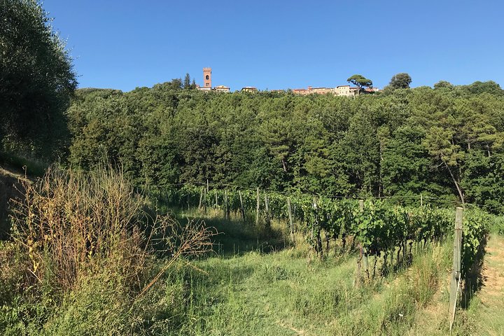 Privé wijntour door de magische heuvels van Lucca met een sommelier.