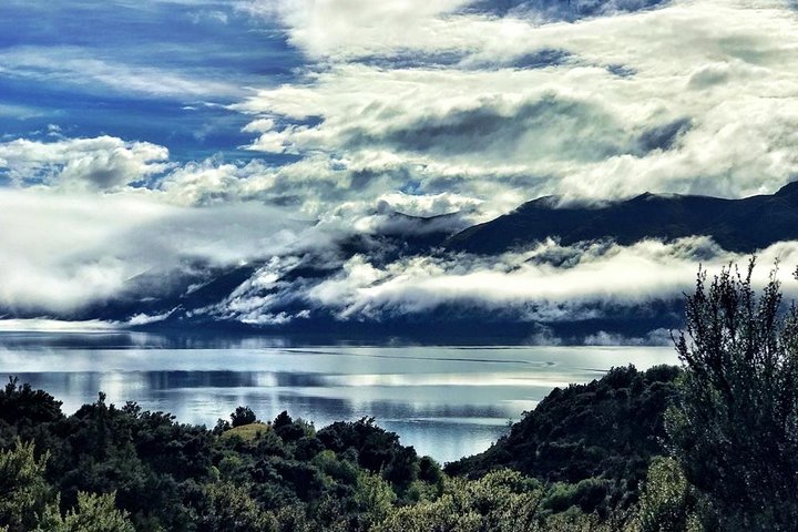Mou Waho Island Cruise och guidad naturvandring