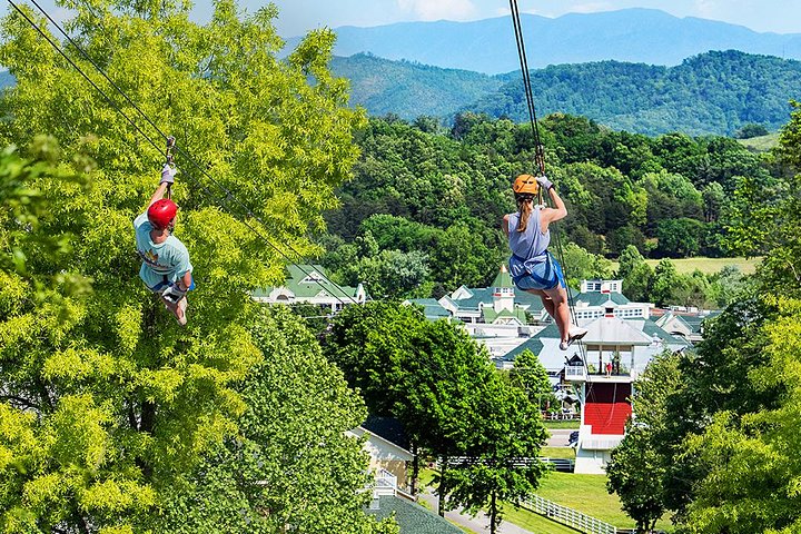 Activité de tyrolienne 7 lignes en petit groupe au parc naturel de Sevierville