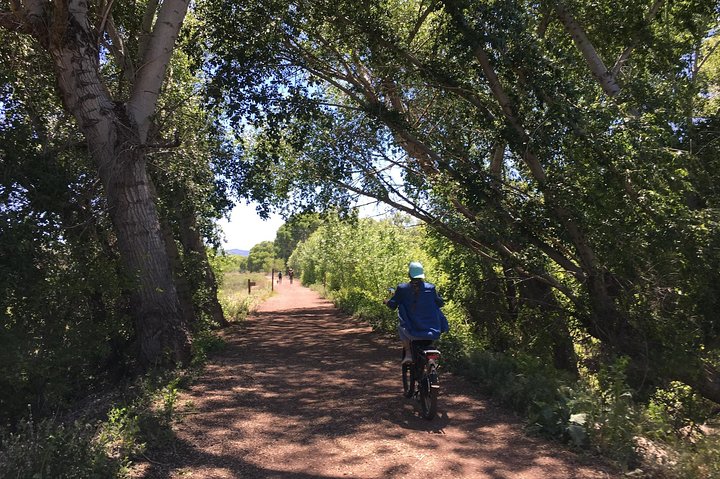 Paseo en bicicleta eléctrica de 2 horas en The Peavine Trail (popular)