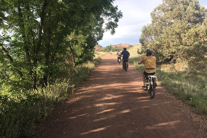 Paseo en bicicleta eléctrica de 2 horas en The Peavine Trail (popular)