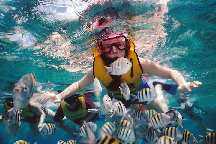 Waitukubuli Volcano Snorkeling