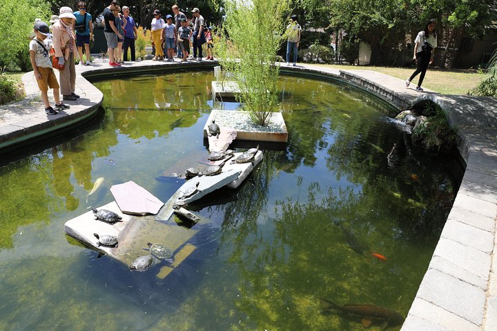 Los Angeles 3 - Hour City Tour med 3 stopp