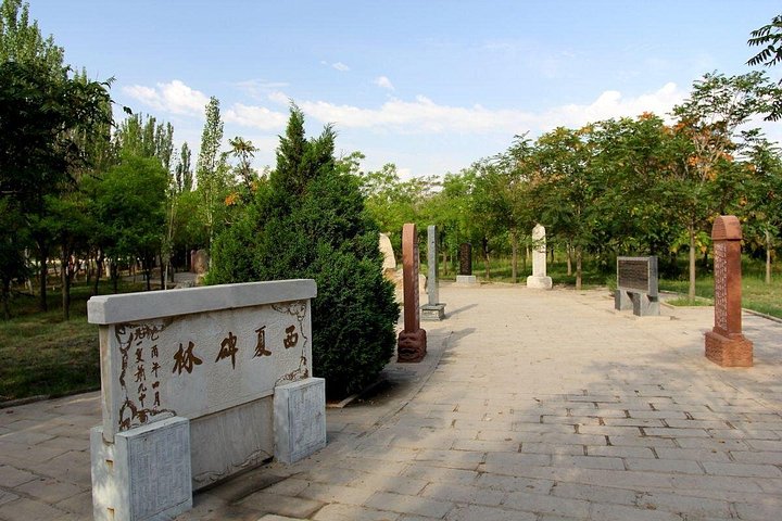 Privat Yinchuan-dagstur til vestlige Xia-grave med fleksibel afgang