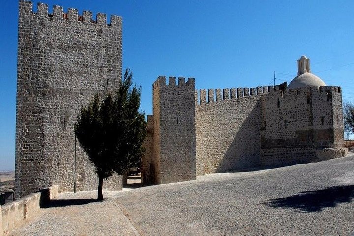 Privat tur: Evora, Elvas och Badajoz (Spanien) dagstur från Lissabon