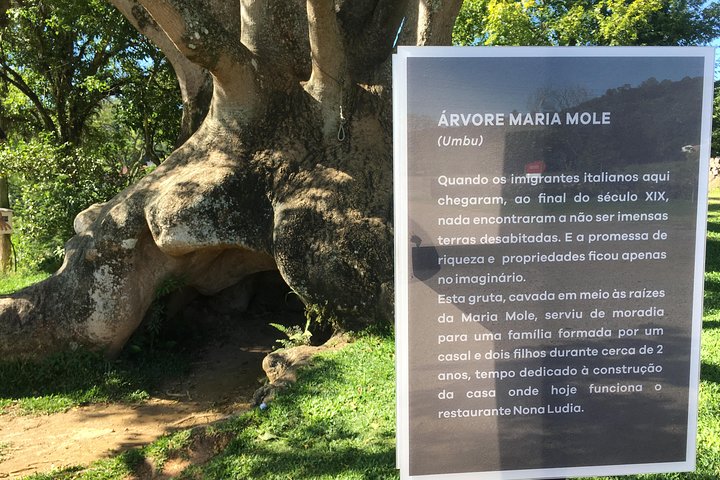 Privat tur på Caminhos de Pedra i Bento Gonçalves RS