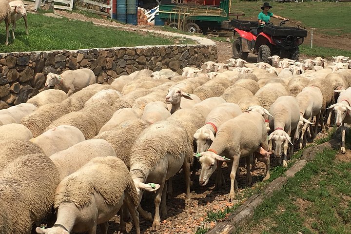 Privat tur på Caminhos de Pedra i Bento Gonçalves RS