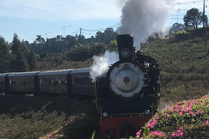 Trasferimento privato alla stazione ferroviaria Maria Fumaça e Italian Epic