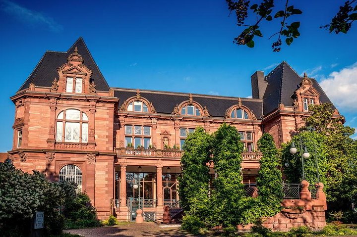 Heidelberg slott og gamlebytur fra Frankfurt