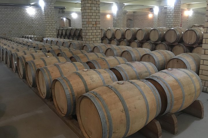 Private Tour durch Familienweingüter in Bento Gonçalves RS