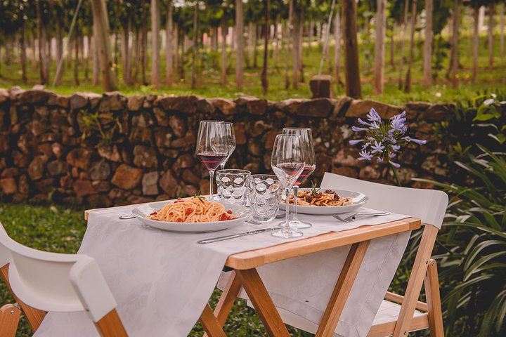 Private Tour durch Familienweingüter in Bento Gonçalves RS