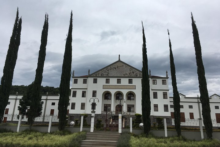 Passeio Privativo nas Maiores Vinícolas de Bento Gonçalves RS