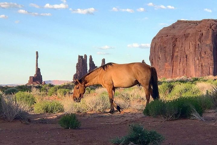 Tour di gruppo della Monument Valley - 3 ore - Navajo Spirit Tours
