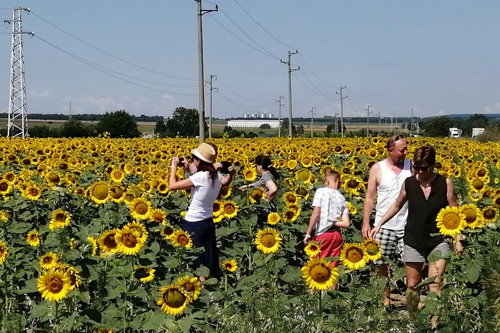 Dagtour met kleine groepen door Bulgarije per minibus met lunch