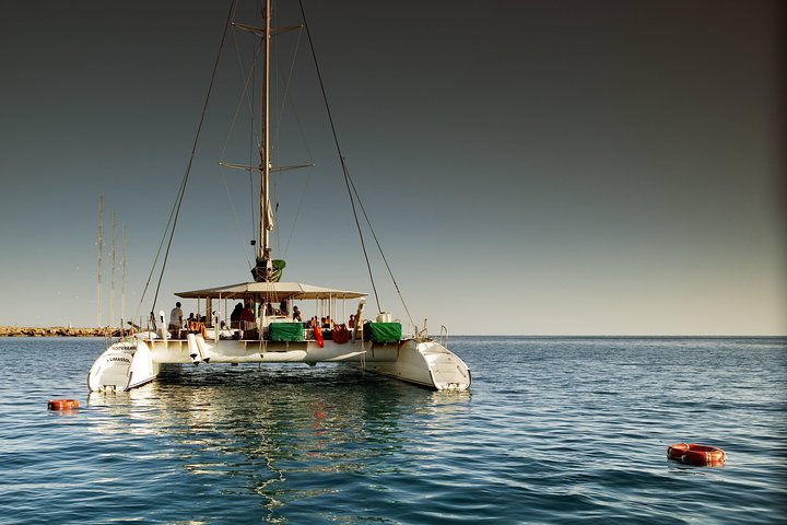 Excursion relaxante en catamaran Blue Lagoon au départ d'Ayia Napa