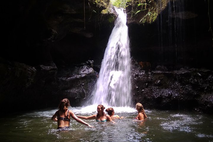 Tetebatu-wandeltocht - rijstterrassen, waterval en apenbos