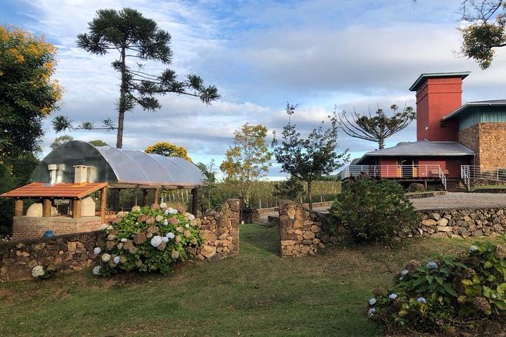 Guidad tur med vinprovning på Casa Seganfredo - Gramado