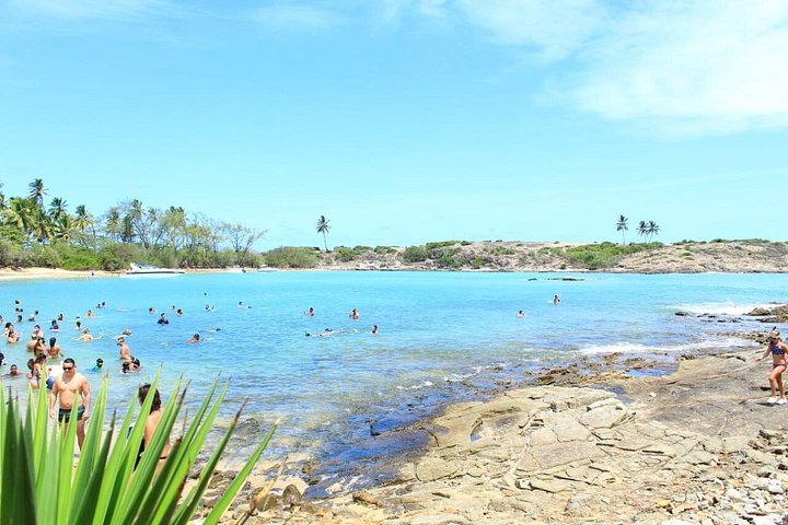 Tour de l'île de Santo Aleixo au départ de Maragogi par Top Tours