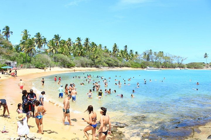 Tour de l'île de Santo Aleixo au départ de Maragogi par Top Tours