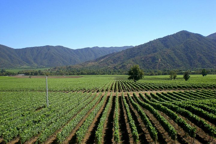 San Antonio etter cruisetur til Valparaiso og Casablanca Drop off i Santiago