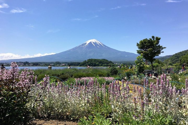 Spectaculaire croisière sur le mont Fuji et le lac, nouilles faisant l'expérience