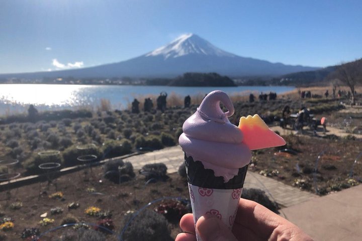 Spectaculaire croisière sur le mont Fuji et le lac, nouilles faisant l'expérience
