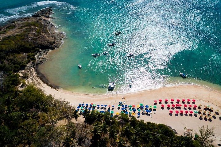 Tour de l'île de Santo Aleixo au départ de Maragogi par Top Tours