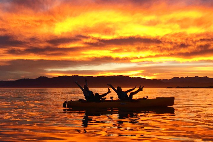 Aventura en kayak con focas en Kaikoura