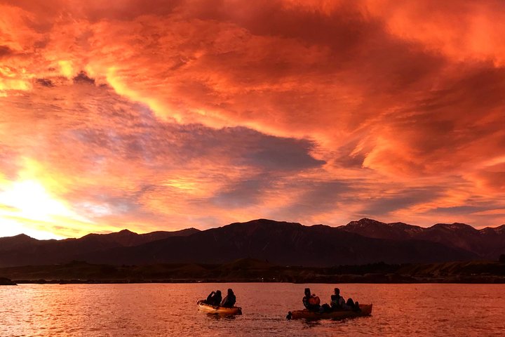 Aventura en kayak con focas en Kaikoura