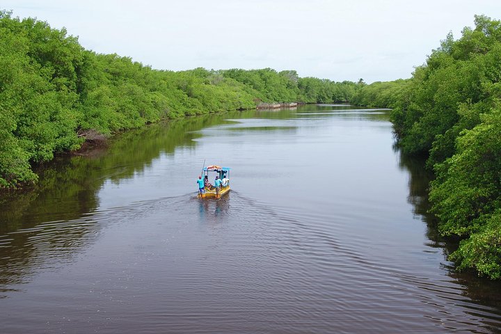 Tour São Miguel dos Milagres desde Maragogi con Costazul Turismo
