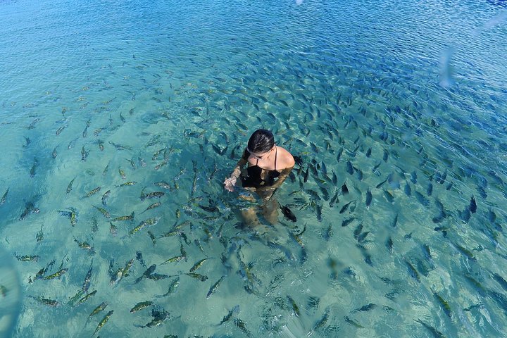 Porto de Galinhas Tour fra Maragogi af Costazul Turismo
