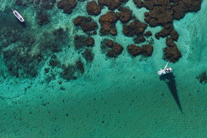 Porto de Galinhas Tour fra Maragogi af Costazul Turismo