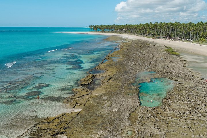 Carneiros Beach Tour fra Maragogi med Costazul Turismo